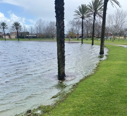 wanderers files/Wanderers 2024/18-8-24 1.png